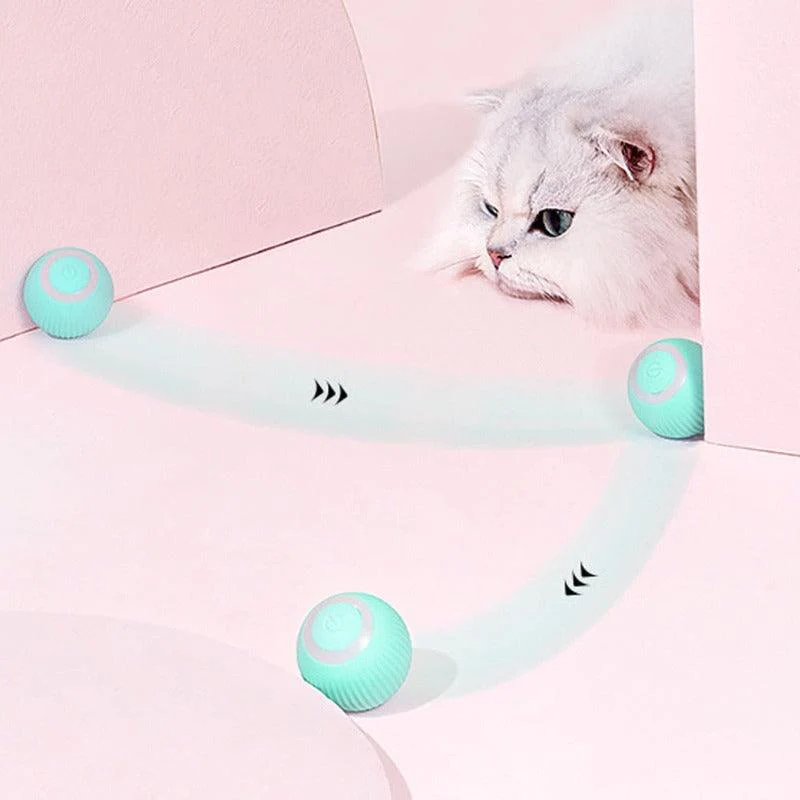 Entertain Your Feline: The Best Smart Cat Toys with Automatic Rolling Balls
