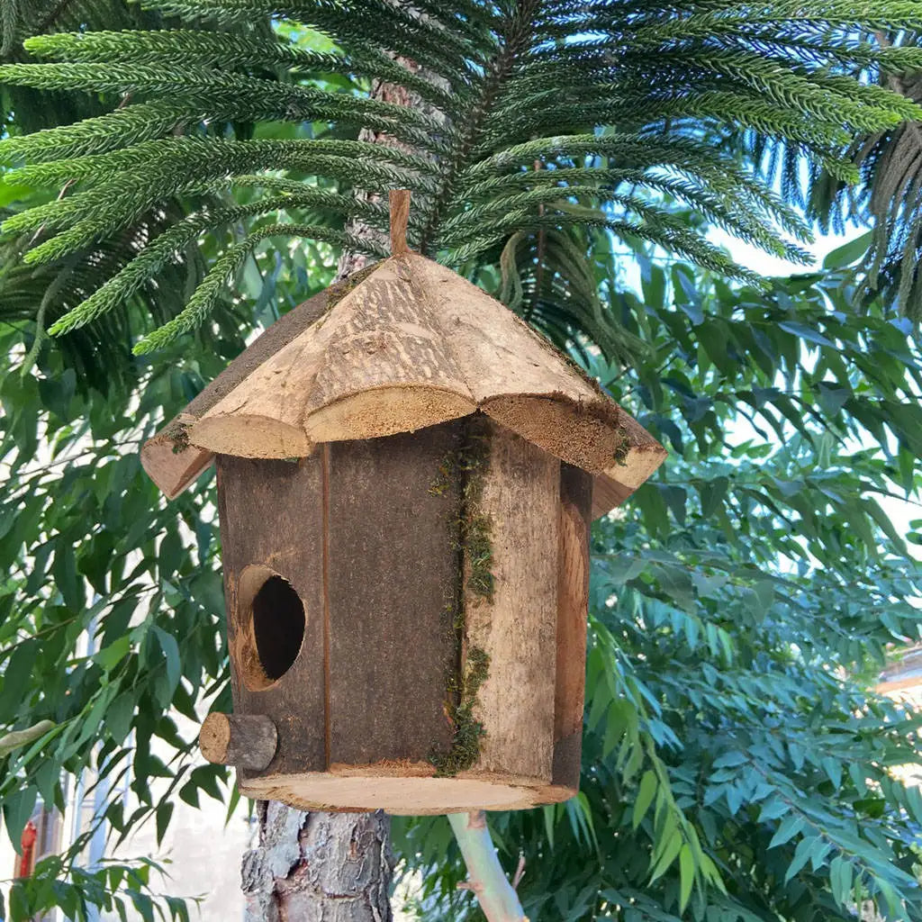 Outside Wooden Bird Nest - Natural Decor Hummingbird House