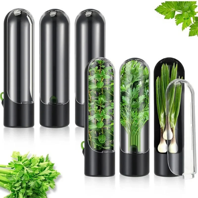 Cloud Discoveries Herb and Vegetable Storage Crisper - Anti-Crush Design