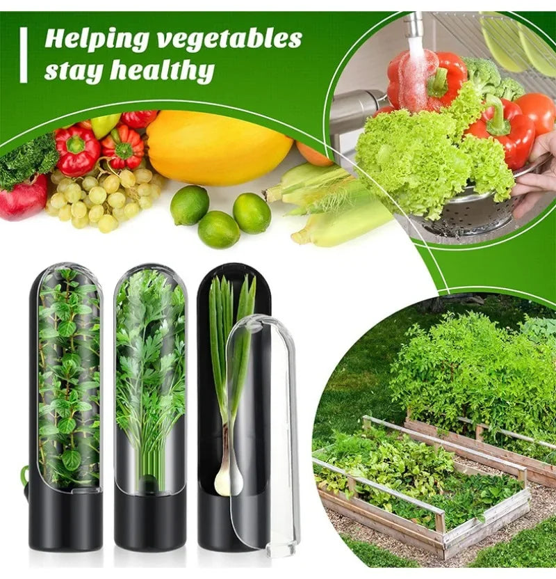 Herb and Vegetable Storage Crisper