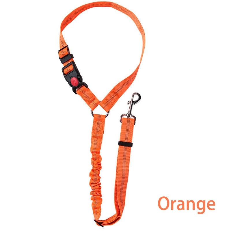 Two-In-One Car Seat Belt Dog Harness