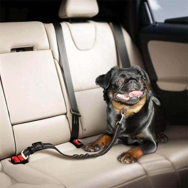 Dog Seat Belt, Car, Seatbelt, Harness for Dogs, Adjustable, Durable, Nylon Reflective Bungee, Fabric, Tether, Car, Travel, Supplies for Pet, clouddiscoveries.com